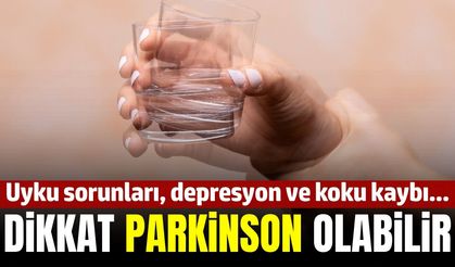 Manisa'nın sağlık gündeminde 'Parkinson Hastalığı' var