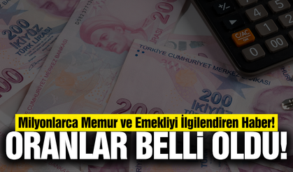 Memur ve Emeklilerin Gözü Temmuzda! Zam için 3 senaryo!