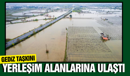 Manisa'da Gediz Nehri taştı: Tarım arazileri ve bazı evler su altında kaldı!