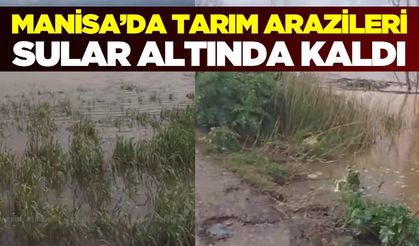 Turgutlu’da Tarım Arazileri Sular Altında Kaldı