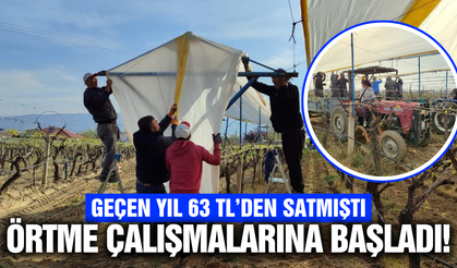 Sarıgöl'de bağlar tüllerle kaplanıyor!