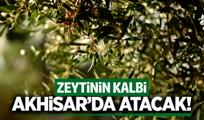 Geleneksel zeytin yetiştiriciliği çalıştayı Akhisar’da başlıyor