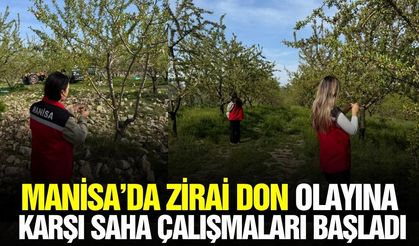 Manisa'da hasar tespit çalışmaları başladı