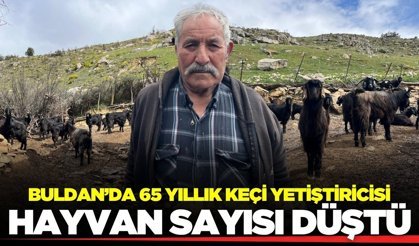 Buldan'da kurban hareketliliği başladı: Üretici dertli