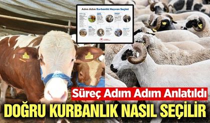 Kurbanlık seçiminde nelere dikkat edilmeli? Manisa İl Tarım Müdürlüğü paylaştı