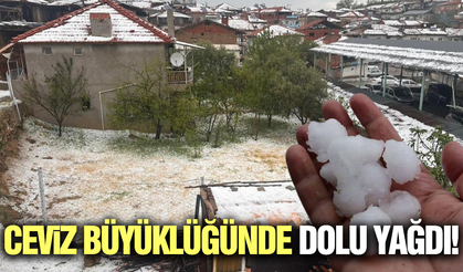 Manisa'da dolu yağışı etkili oldu!