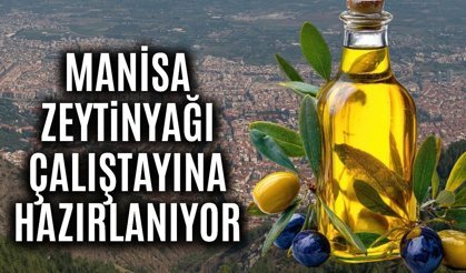Manisa'da zeytinyağı çalıştayı hazırlıkları devam ediyor