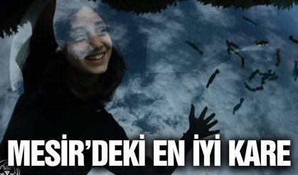 Mesir Festivalinde çekilmiş en güzel fotoğraf belli oldu