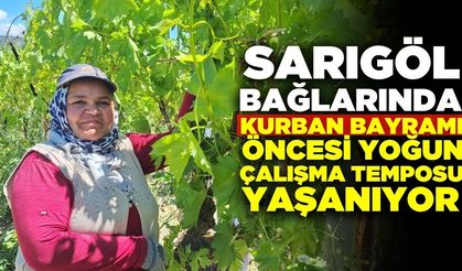 Sarıgöl bağlarında bayram mesaisi: Çalışmalar hızlandırıldı!