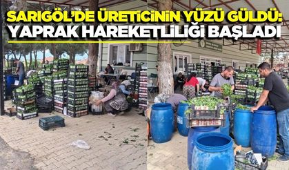 Sarıgöl’de bağ yaprağı mesaisi başladı