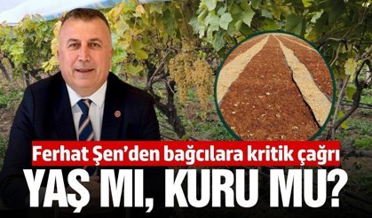 TARİŞ'ten üreticilere kritik çağrı: Sezon başında karar verilmeli