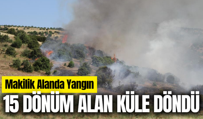 Manisa'da 15 dönüm alan küle döndü