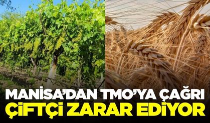 Manisa'dan TMO'ya Çağrı: 'Bu fiyatlarla Çiftçi Kazanamıyor'