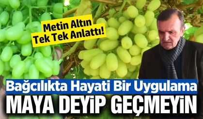 Metin Altın bağlarda 'Maya' kullanımının önemine dikkat çekti!
