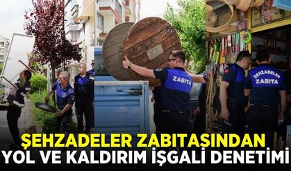 Şehzadeler zabıtasından denetim