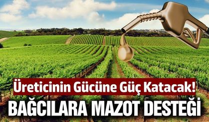 Tariş Üzüm Birliği'nden üreticilere mazot desteği