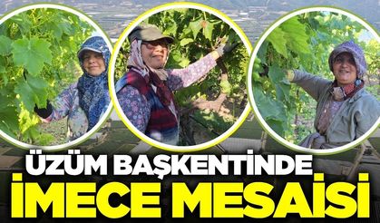 Sarıgöl'de artan işçilik maliyetlerine imece çözümü