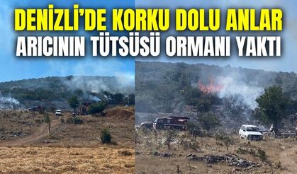 Denizli'de arıcının tütsüsü ormanı yaktı