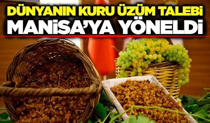Manisa’dan dünya sofralarına milyon dolarlık lezzet: Kuru üzüm ihracatı zirvede