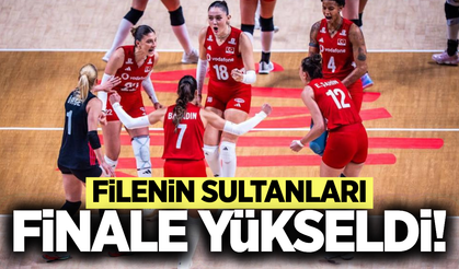 Filenin Sultanları finale çıktı!