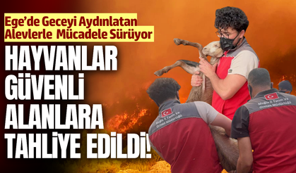 Muğla'da ekiplerin yangınla mücadelesi devam ediyor!