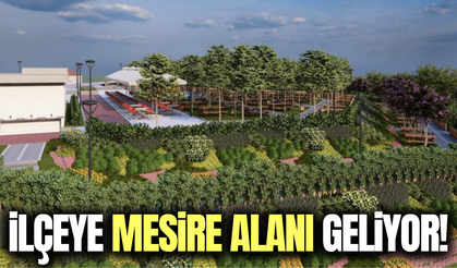 Selendi'ye nefes aldıracak yeni mesire alanı geliyor!
