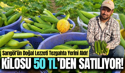Sarıgöl'de doğal yöntemlerle yetişiyor: Kilosu 50 TL'den tezgahta!