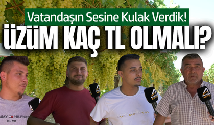 Sofralık üzüm, ıskarta üzüm, kuru üzüm: Üreticinin beklentisi ne?