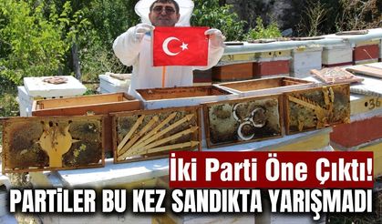 Arıların “siyasi seçimi” sonuçlandı: Peteklerde hangi parti öne çıktı?