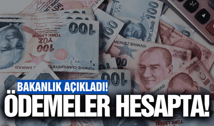 Bakanlık açıkladı: Ağustos ayı ödemeleri hesaplarda!