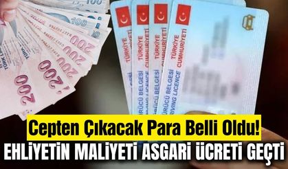 Ehliyet sahibi olmanın maliyeti, dudak uçuklattı!