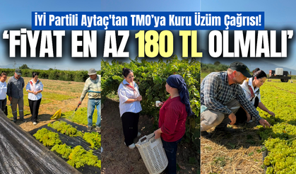 Gözde Aytaç'tan kuru üzüm çağrısı: “Üreticinin gözü salkımda, kulağı TMO’da”