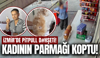 İzmir'de pitbull saldırısına uğrayan kadının parmağı koptu