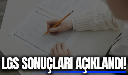 LGS yerleştirme sonuçları açıklandı!