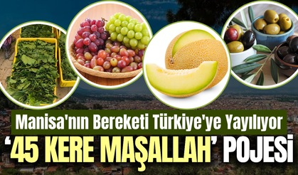 Manisa’nın 45 değeri Dünyaya tanıtılıyor