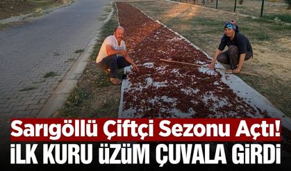 Sarıgöl'de 2026 Yılı Kuru Üzüm Sezonu Başladı!