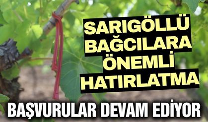 Sarıgöl'de üzüm üreticilerine duyuru: Destekleme başvuruları sürüyor