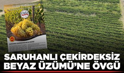 İl Müdürlüğünden Saruhanlı Çekirdeksiz Beyaz Üzümü’ne övgü