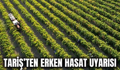 Tariş’ten üzüm üreticilerine hasat uyarısı: 10-15 günlük gecikme bekleniyor