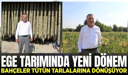 Ege'de girdi fiyatları vurdu, çiftçi ürün değiştirdi