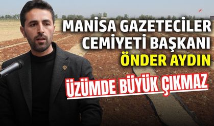 Manisa üzümünde büyük çıkmaz