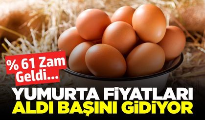 Yumurtada zam dalgası! Fiyatlar hızla yükseldi