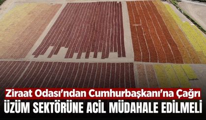 Üzüm üreticisinin sorunları, Cumhurbaşkanı Erdoğan'ın masasında