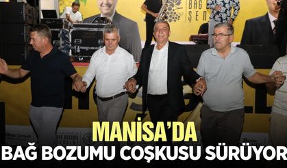 Manisa'da bağ bozumu coşkusu: Konserle unutulmaz gece