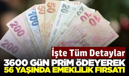 Bu sistem ile 10 yıl prim ödeyerek 56 yaşında emeklilik mümkün