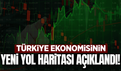 Ekonominin 3 yıllık yol haritası OVP hedefleri belli oldu