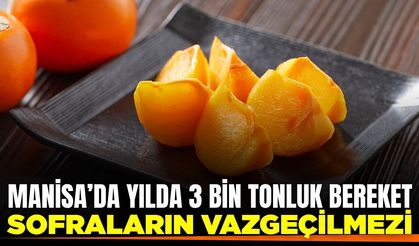 Manisa'nın bereketi: Yıllık 3 bin ton üretim