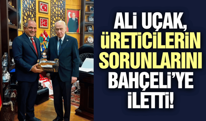 Manisalı üzüm üreticilerin sorunları Bahçeli'ye iletildi!