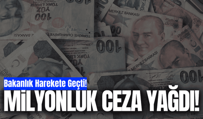Bakanlık duyurdu: Denetimlerde rekor ceza yağdı!