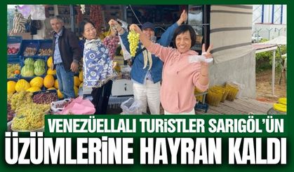 Sarıgöl'ün üzümleri Venezüellalı turistleri mest etti!